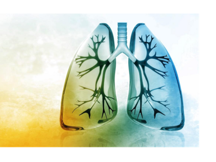Caring for a Person Living with COPD