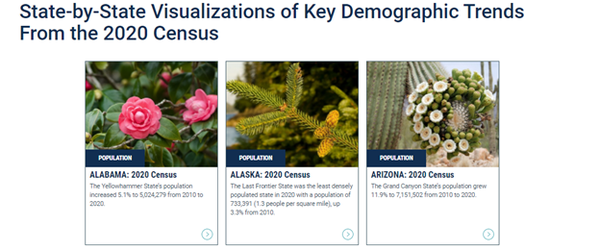 State-by-State Visualizations of Key Demographic Trends From the 2020 Census