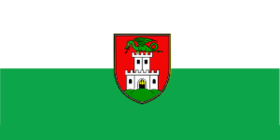 AmCham Ljubljana logo