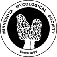 Minnesota Mycological Society logo