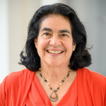 Deborah Ramirez (Professor at Northeastern University)