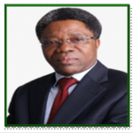 Professor Oludayo Amokaye, SAN (Professor at Faculty of Law, University of Lagos, Lagos)