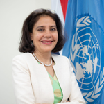 Gita Sabharwal (UN Resident Coordinator in Indonesia)