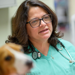 Dr. Teresa DeFrancesco (Professor of Cardiology and ICU Critical Care at North Carolina State University, College of Veterinary Medicine)