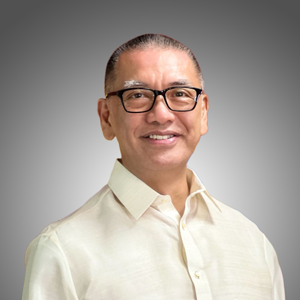 Mr. Perry Ferrer (CONFIRMED) (Chairman at Semiconductor and Electronics Industries in the Philippines Foundation, Inc.)