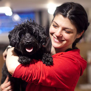 Annie Grossman (Owner & Co-Founder of School for the Dogs)