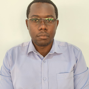 Brian Kitui (CEO of Opalnet Engineering Company Limited)
