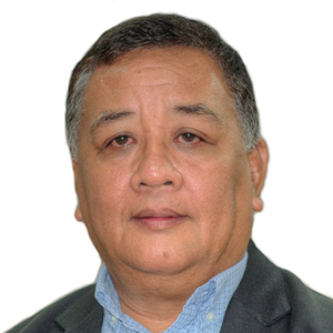Mr. Joey Nelson R. Ayson (President at Philippine Mining & Exploration Association)
