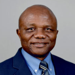 Dr. Okechukwu Iheduru (Professor at the School of Politics & Global Studies at Arizona State University)