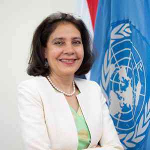 Gita Sabharwal* (UN Resident Coordinator in Indonesia)