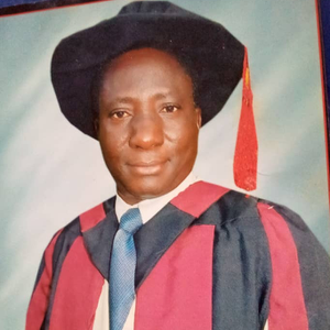 Dr. TITUS    FRIDAY ADEYEMI (Senior Lecturer at UNIVERSITY OF MEDICAL SCIENCE, ONDO CITY, ONDO)