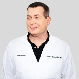 Dr. Richard Goldstein (Chief Medical Officer at Animal Medical Center)