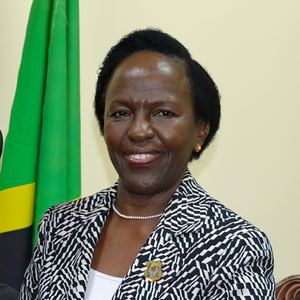 Hon. Liberata Mulamula (Minister of Foreign Affairs and East African Cooperation of the United Republic of Tanzania)