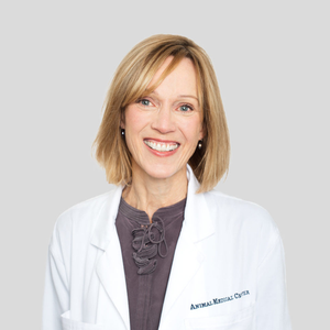 Katherine Quesenberry (Chief Medical Officer at Schwarzman Animal Medical Center)