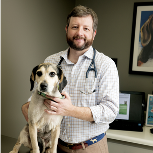 Jay Price (DVM, Founder & CEO of Southern Veterinary Partners)