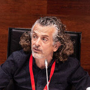 Michele Lurillo (Docente y Tutor, Universidad de Castilla-La Mancha - DAMA España)