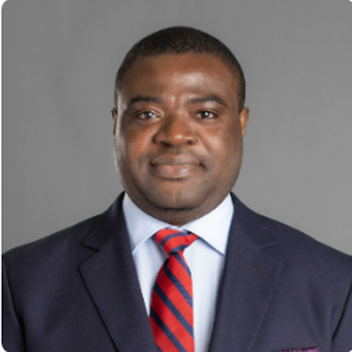 Prof. Damilola S. Olawuyi, SAN, FCArb (Head, UN Working Group on Business & Human Rights. President of the International Law Association Nigeria)