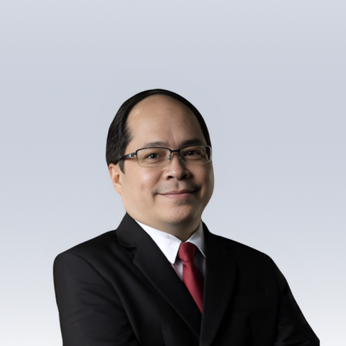 Theo Panga (Director General of Philippine Economic Zone Authority (PEZA))