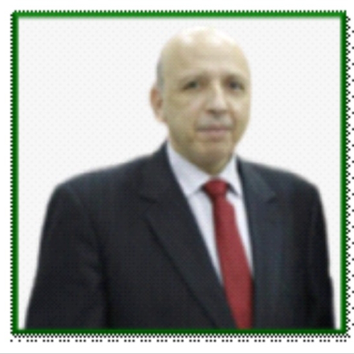 Riyad Fakhri (Director of the Business Law Research Laboratory, Hassan I University, Morocco)