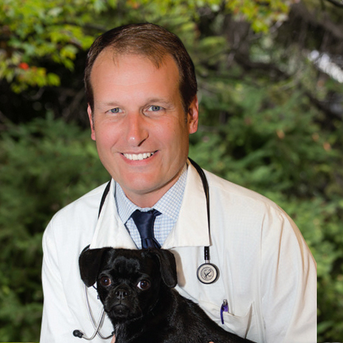 Dan Markwalder, DVM (Chief Veterinary Officer at MVP)