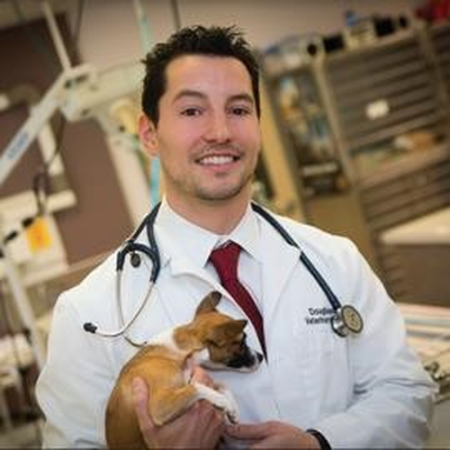 Geoff DeWire, DVM (Medical Director of Douglassville Veterinary Hospital)