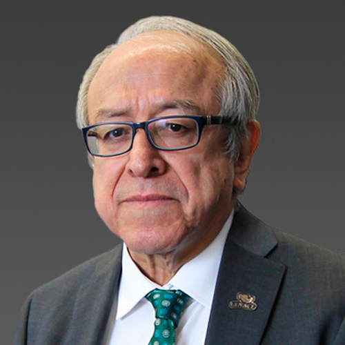 Ricardo Octavio Mota Palomino (Chief Executive Director of National Center for Energy Control (CENACE))