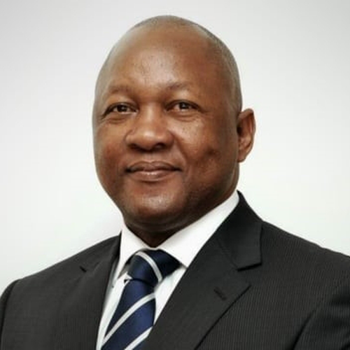 Dr. Andile Ngcaba (Chairman at Convergence Partners)