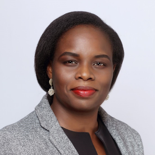 Tosin Ojo (Principal at Sahel Capital Agribusiness Managers)