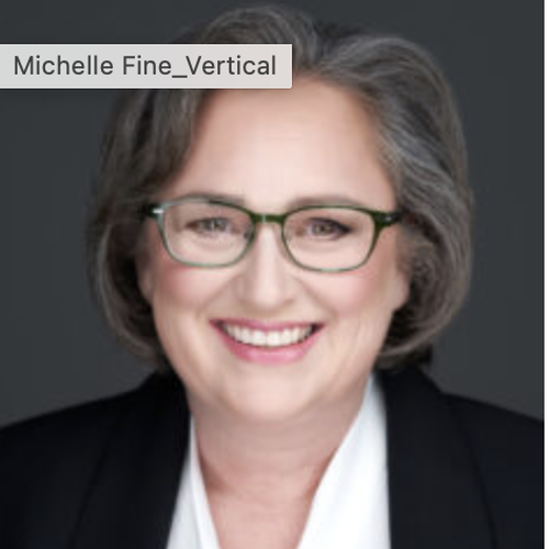 Michelle Fine (solo attorney at Law Office of Michelle Fine)