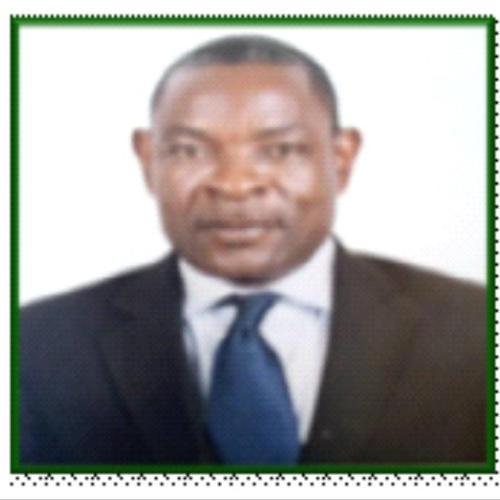 Francis Ohiwere Oleghe (Senior Counsel at F. O. Oleghe Law Firm in Lagos, Nigeria.)