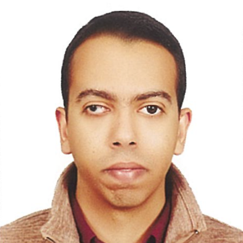 Mohamed Elgaty (Software Developer at Transoft Solutions)