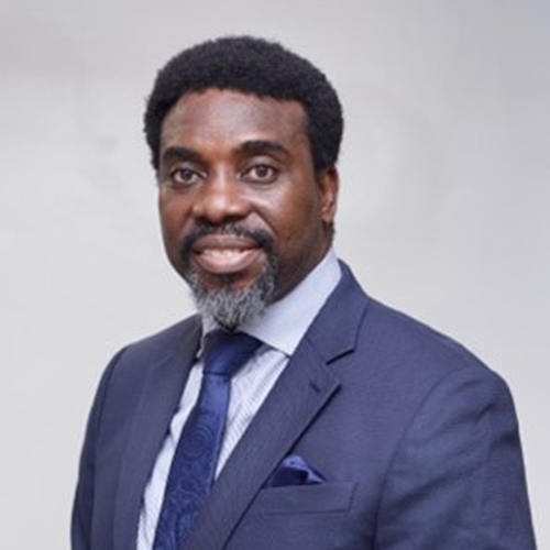 Ayo Ademilua (President at Renewable Energy Association of Nigeria (REAN))