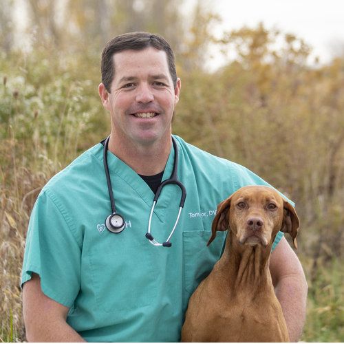 Tom Taylor, DVM (Medical Director of Den Herder Veterinary Hospital)